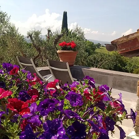8 * Campagnatico